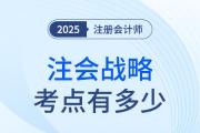 注冊(cè)會(huì)計(jì)師戰(zhàn)略考點(diǎn)有多少？
