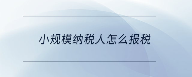 小規(guī)模納稅人怎么報稅