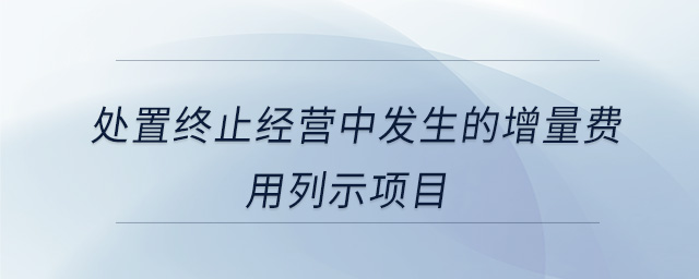 處置終止經(jīng)營中發(fā)生的增量費用列示項目