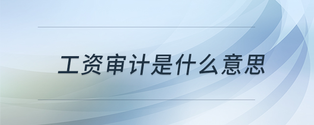 工資審計是什么意思