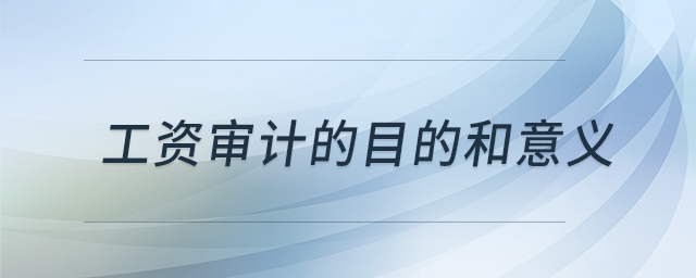 工資審計的目的和意義