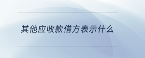 其他應(yīng)收款借方表示什么