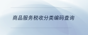 商品服務(wù)稅收分類編碼查詢