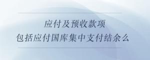 應(yīng)付及預(yù)收款項(xiàng)包括應(yīng)付國(guó)庫(kù)集中支付結(jié)余么
