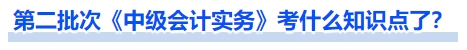 第二批次《中級(jí)會(huì)計(jì)實(shí)務(wù)》考什么知識(shí)點(diǎn)了？