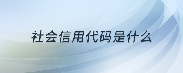 社會信用代碼是什么
