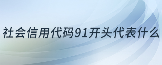 社會(huì)信用代碼91開頭代表什么