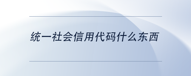 中級會計統(tǒng)一社會信用代碼什么東西