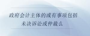 政府會計主體的或有事項包括未決訴訟或仲裁么