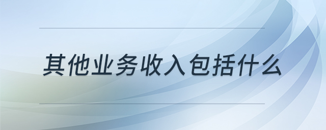 其他業(yè)務(wù)收入包括什么