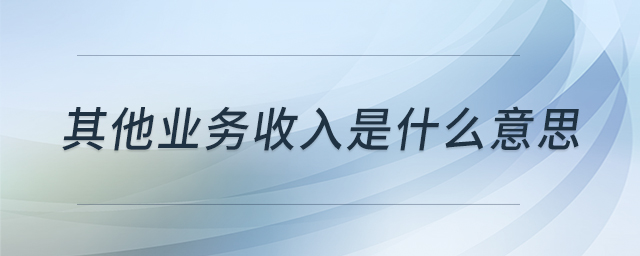 其他業(yè)務(wù)收入是什么意思